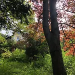 公寓 Petterhof *