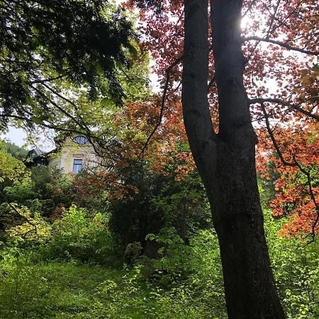 Apartamento Petterhof *