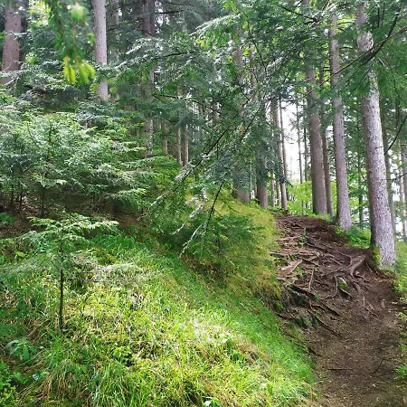 Apartment Petterhof *