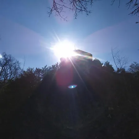 Petterhof Schottwien