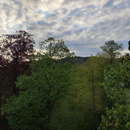 Petterhof Apartment *