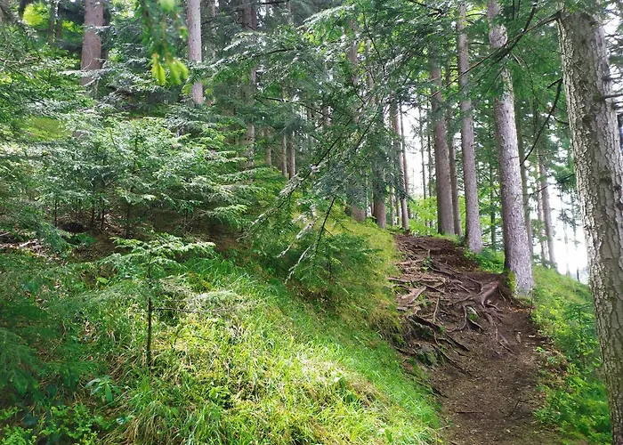 Διαμέρισμα Petterhof *