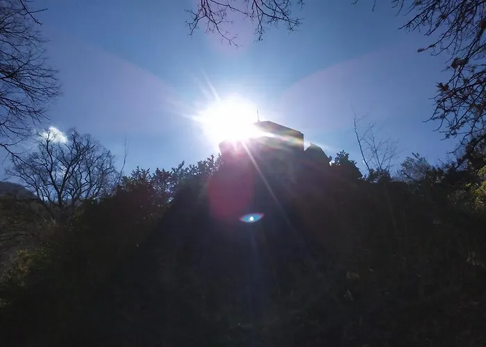 Petterhof Schottwien