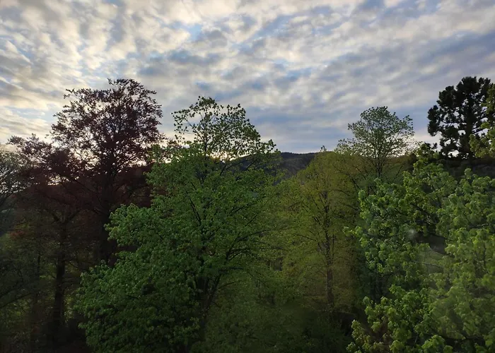 Petterhof Apartman *